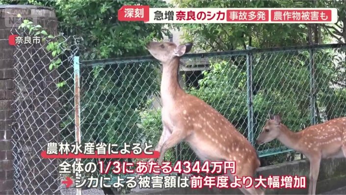 前年度から大幅に増加