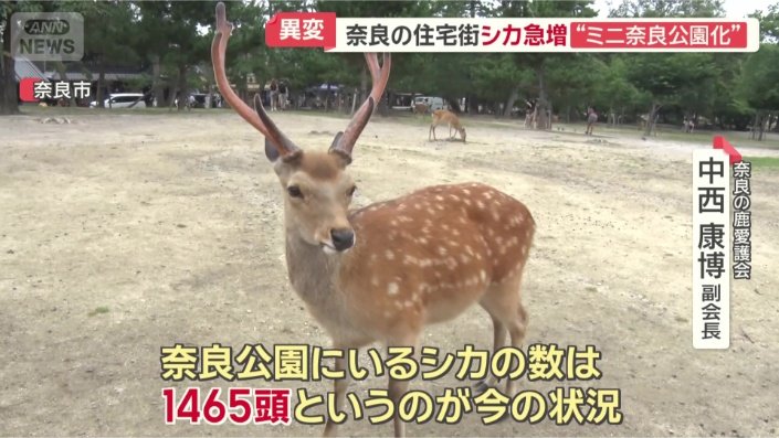 「歴代でトップ」