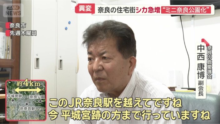 奈良の鹿愛護会 中西康博副会長