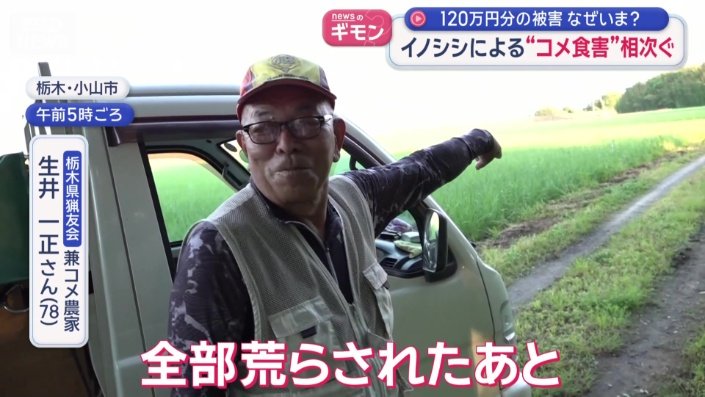 毎朝、イノシシの見回りをしている