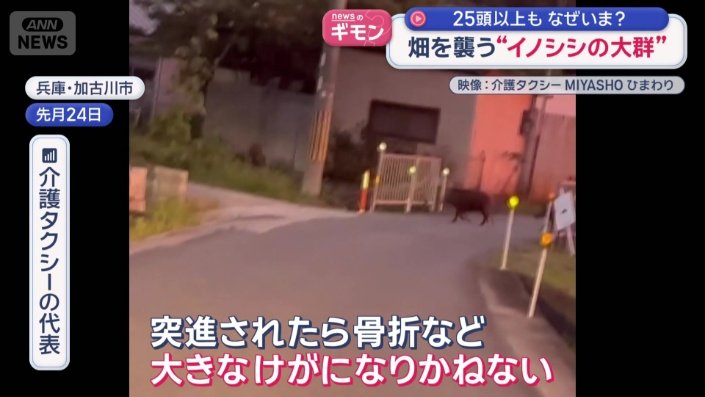 兵庫県でも…