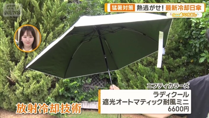 夏のマストアイテム　日傘