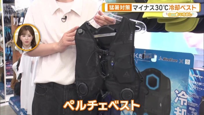 ペルチェベスト
