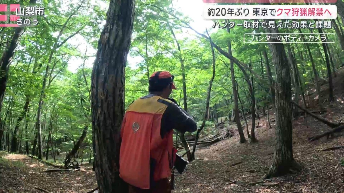 クマに圧力？約20年ぶりに東京で狩猟解禁へ ハンター密着でみえた課題と効果