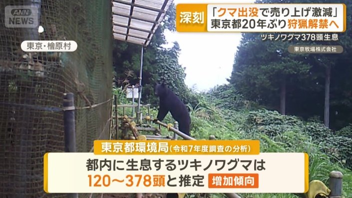 ツキノワグマは都内に最大378頭と推定