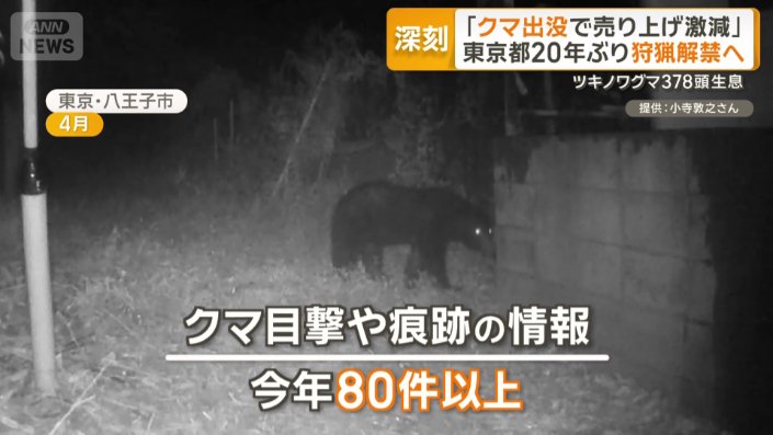 クマの目撃や痕跡の情報が今年80件以上