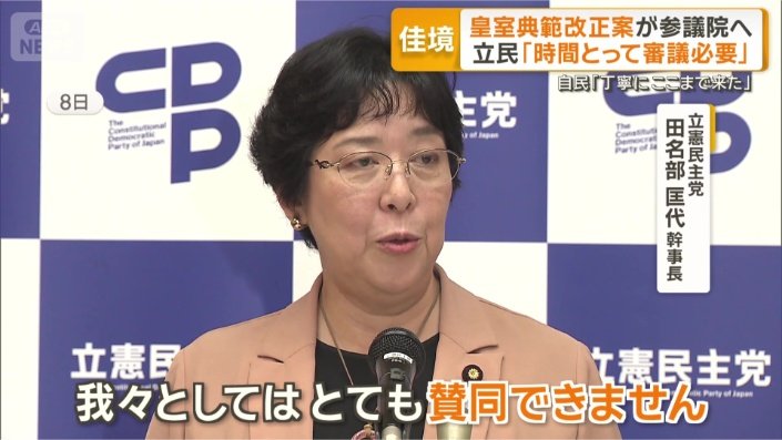 立憲民主党 田名部匡代幹事長