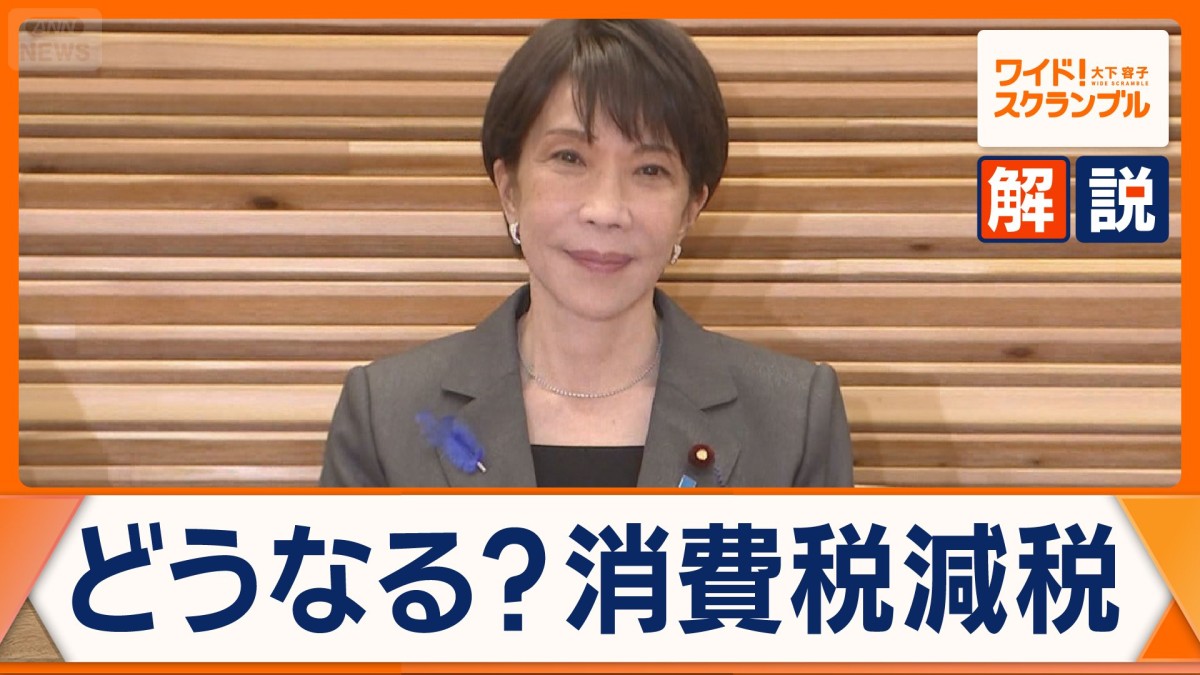 消費税減税 約10兆円の財源は？ 深まる溝…意見まとまらず与党に焦りも