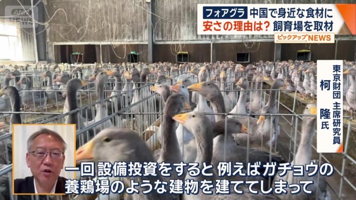 価格を下げざるを得ない事情も
