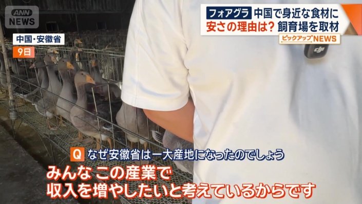 一大産地になった理由は?