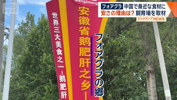 中国最大級のフォアグラ生産地
