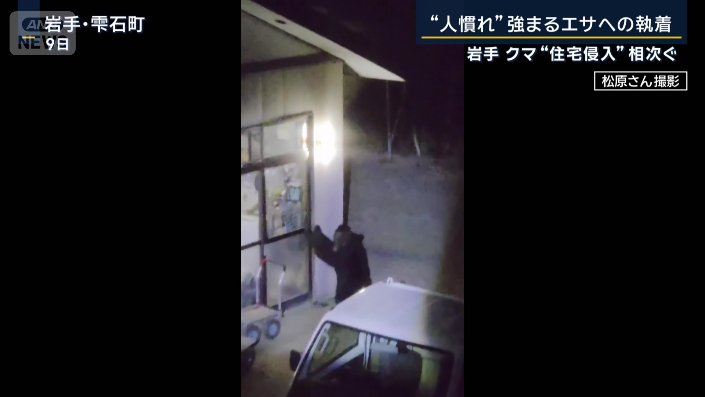 クマ