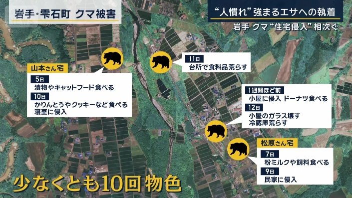 クマ被害