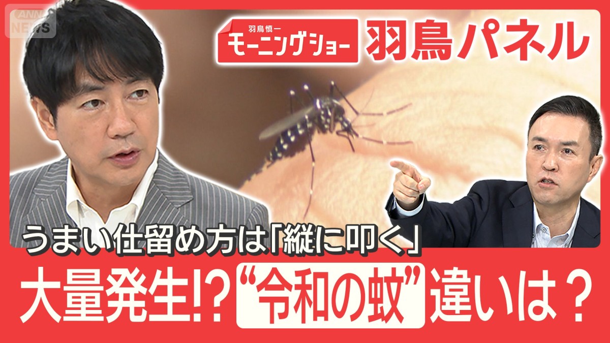 2026年大量発生!？ “令和の蚊” は『多い』『長い』温暖化影響で生態に異変も
