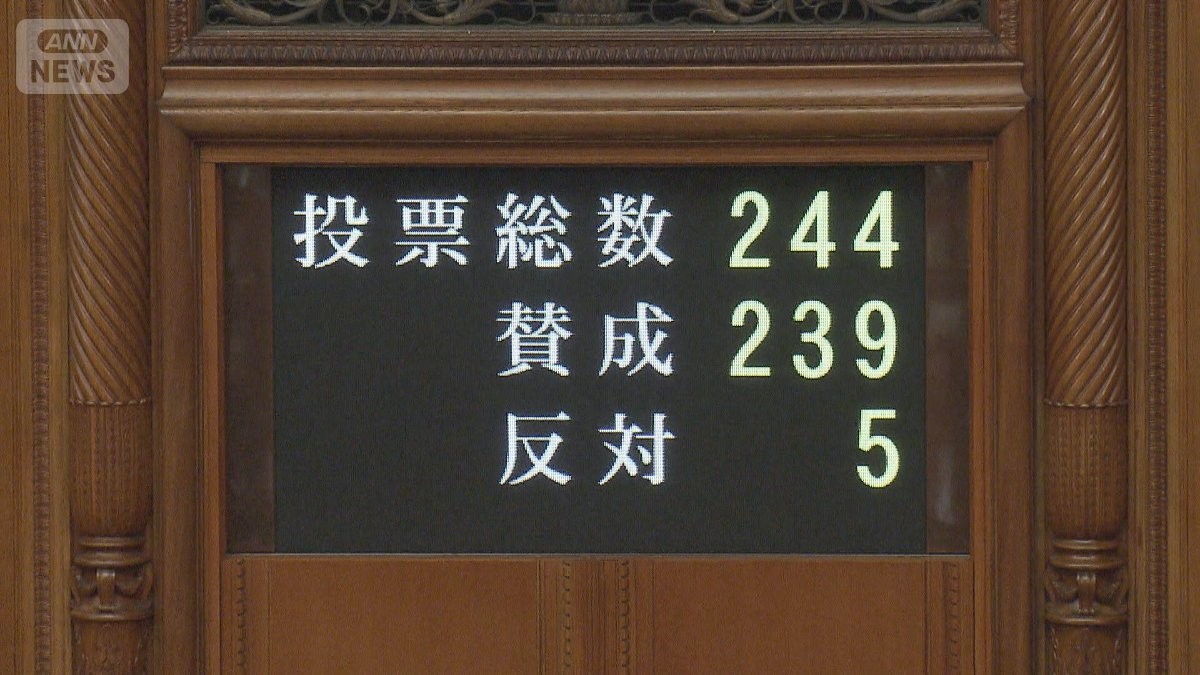 SNS対策の公選法など改正案が成立　罰則盛り込まれず実効性に疑問の声