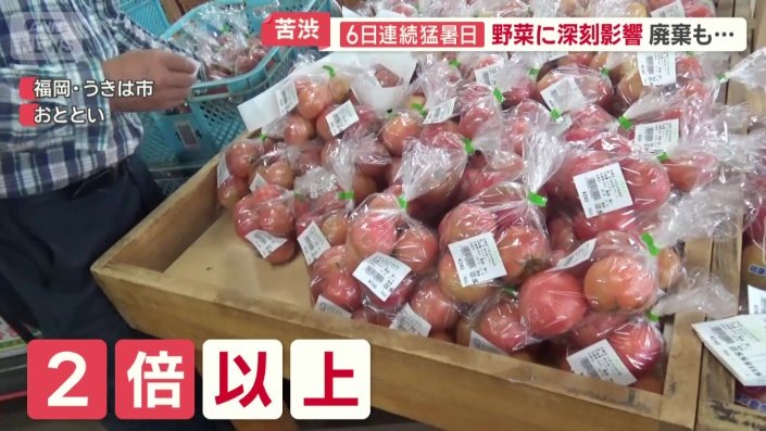 2倍以上に上がってしまったトマト
