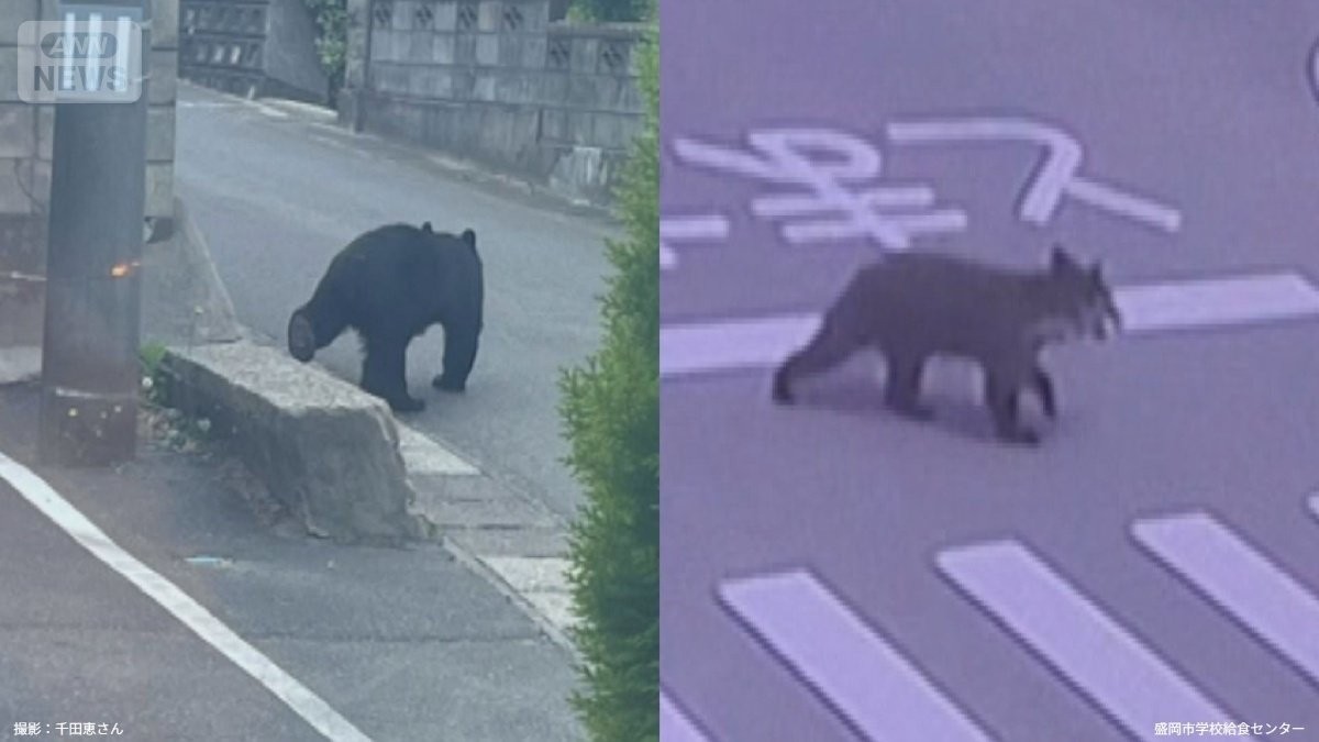 「街の中心部」なぜクマ出没　何を求めて幼稚園や給食施設に？