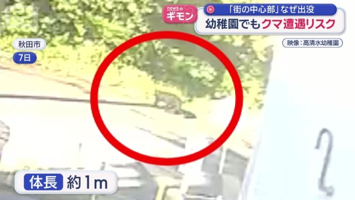 幼稚園の敷地にクマ