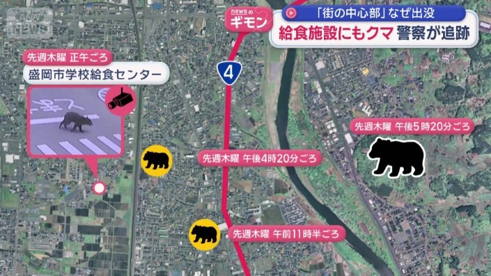 クマの目撃情報