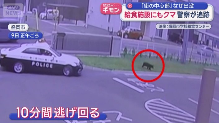 10分間逃げ回る