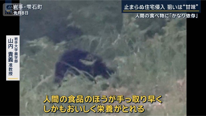 岩手大学農学部　山内貴義准教授