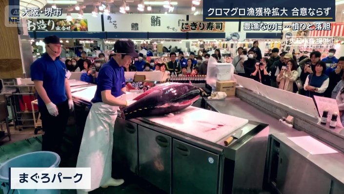 大阪・堺市にある『マグロパーク』