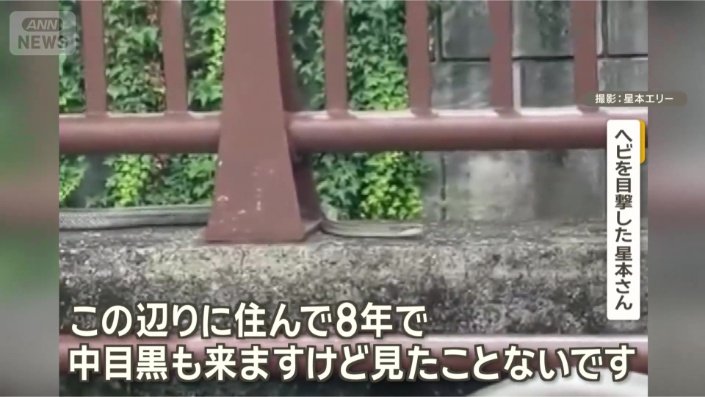 「めっちゃ長かった」