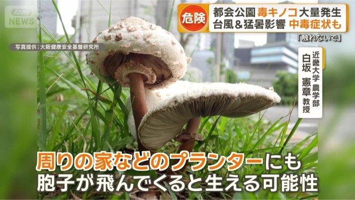 花壇などにも