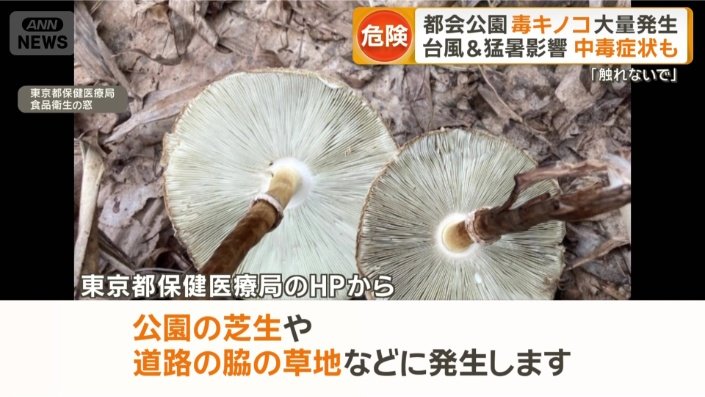 東京でも…