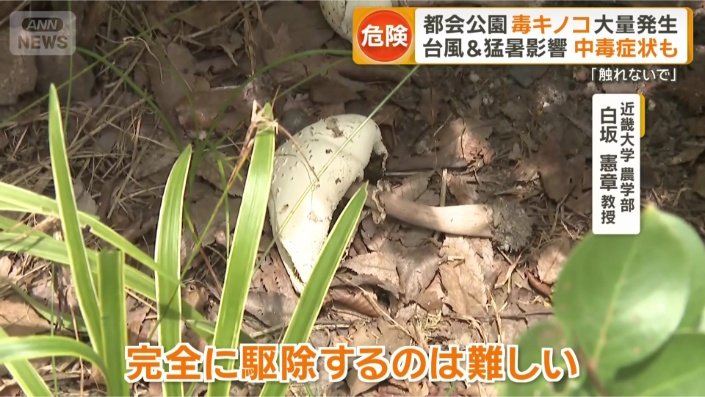「どこに隠れているか分かりません」