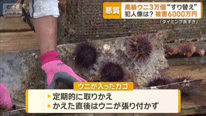 「同業者しか知りえない知識と情報が必要」