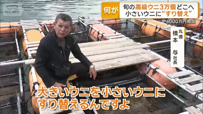 被害に遭ったウニ約3万個