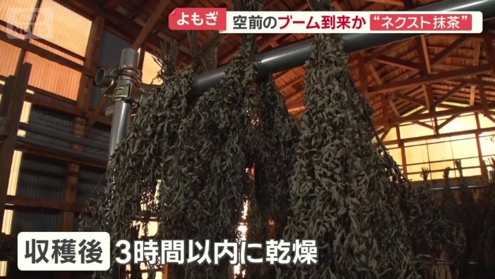 収穫後3時間以内に日陰で乾燥