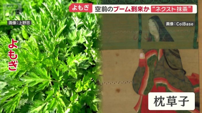 枕草子にも登場するよもぎ
