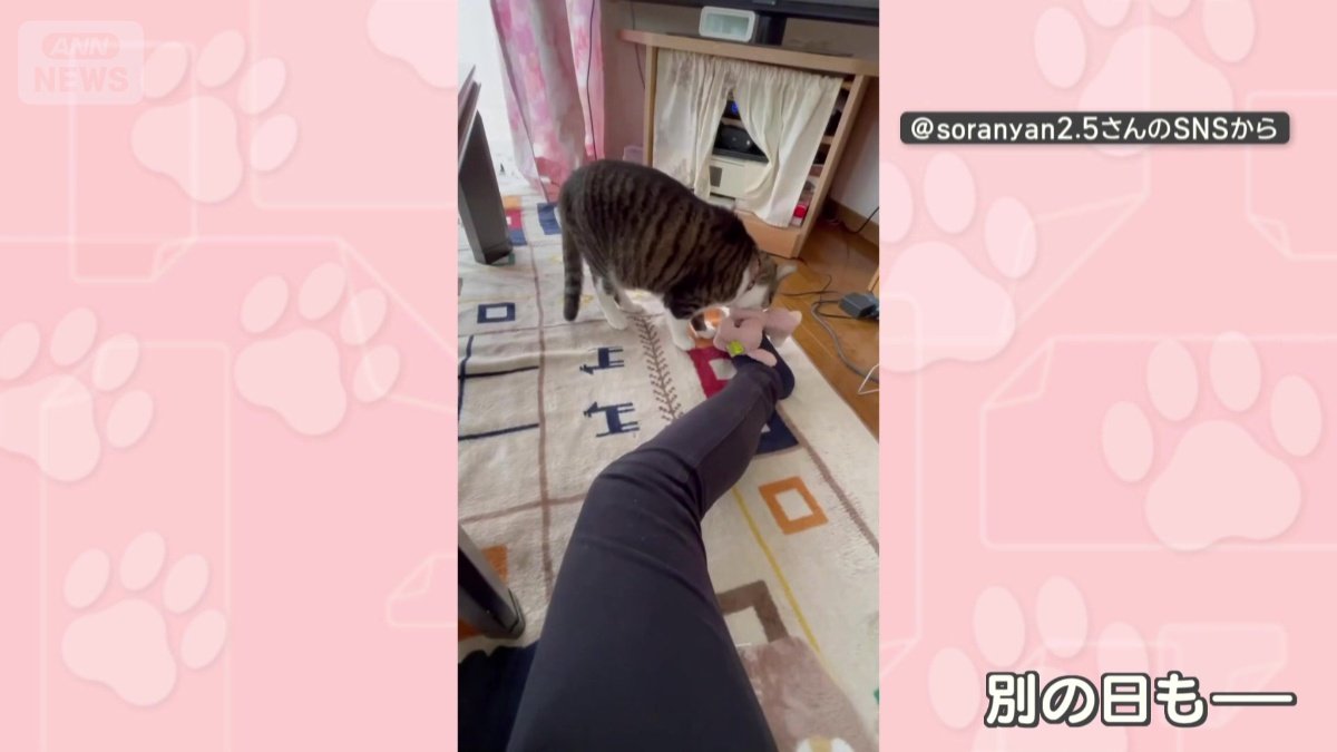 別の日も…