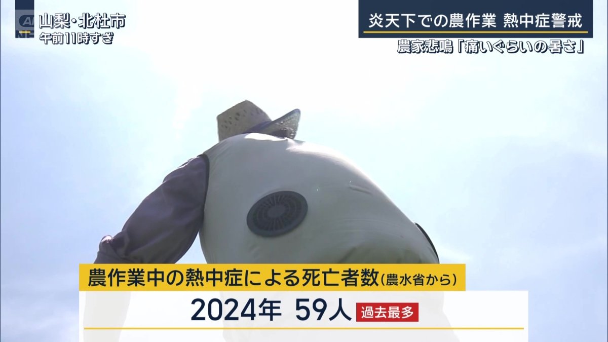 農作業中の熱中症による死亡者数