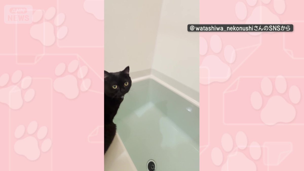 お風呂に興味津々