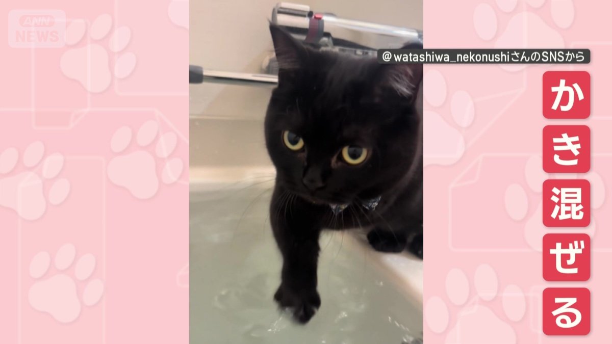お風呂のお湯をかき混ぜる