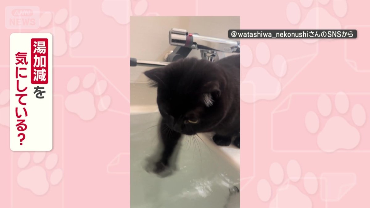 湯加減を気にしている?