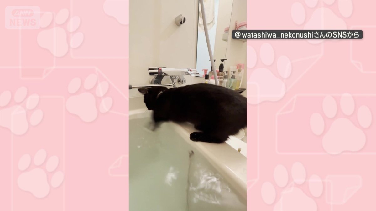 別の日も、湯加減を確かめてるよう!