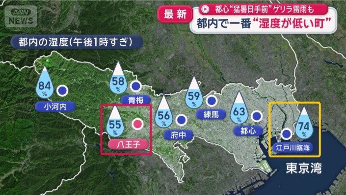都内の湿度(午後1時すぎ)