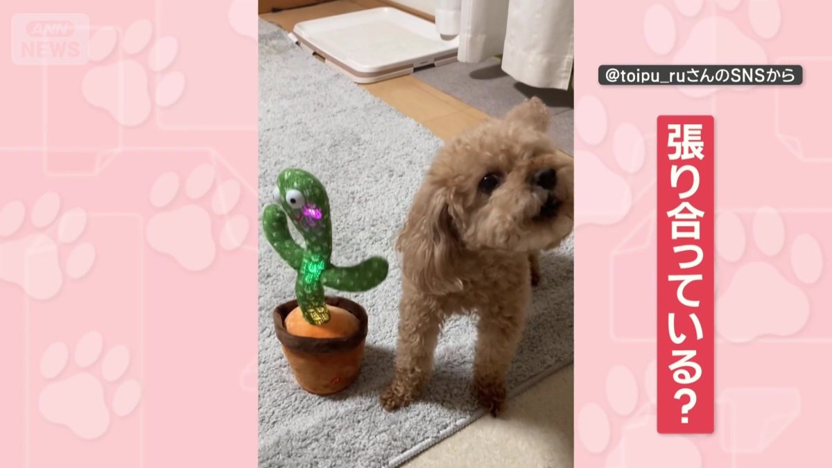 おもちゃの音に合わせて声を出す