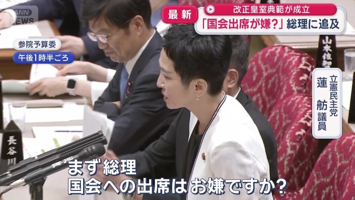 立憲民主党 蓮舫議員