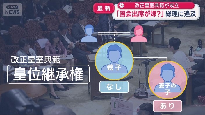 養子の子である男子は皇位継承権を持つ