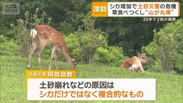 「シカだけではなく複合的なもの」