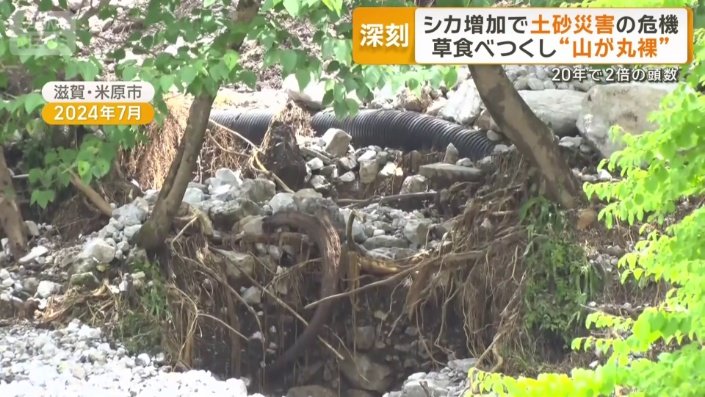 伊吹山で土砂崩れ
