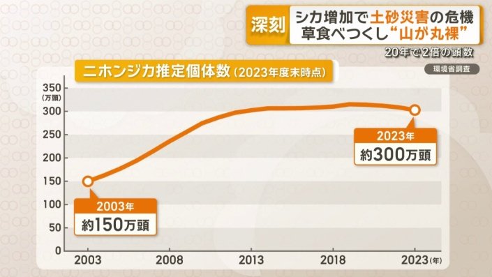 20年で2倍の頭数