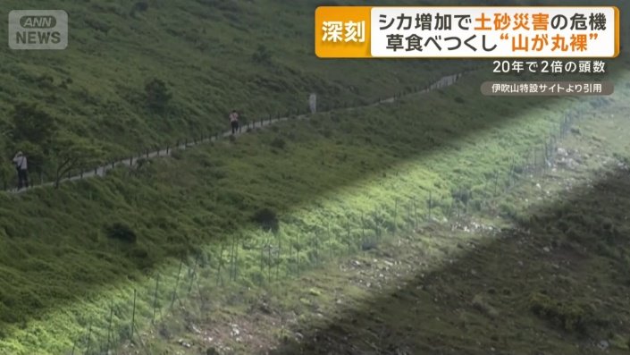 土砂災害のあった米原市でも柵で対策