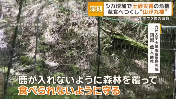 柵で対策