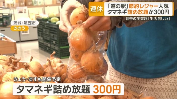 タマネギ詰め放題